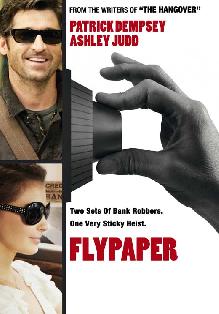 Flypaper (2011)